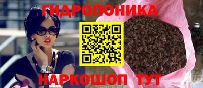 тгк Будённовск