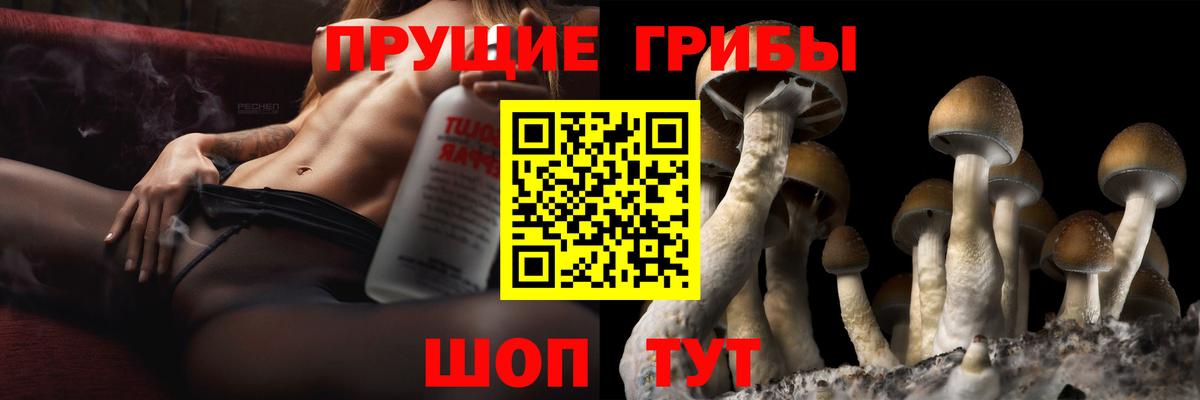 Псилоцибиновые грибы Psilocybe  Вход с VPN  Новошахтинск 